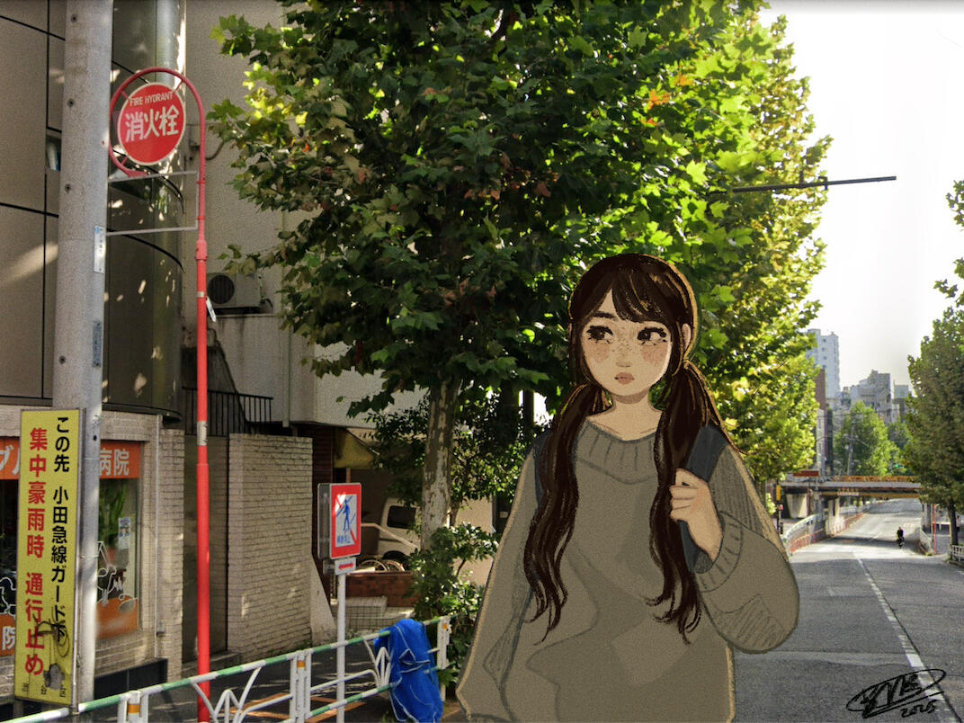 afternoon walk (photo background)