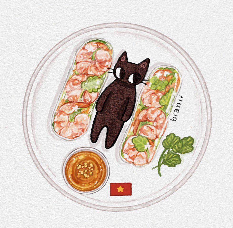 05- vietnam (gỏi cuốn)